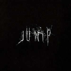 JUNIP Junip