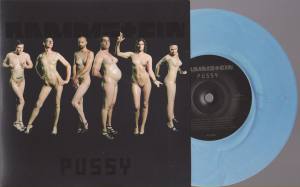 RAMMSTEIN Pussy (Vinyl 7