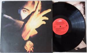 TERENCE TRENT D'ARBY Terence Trent D'Arby's Neither Fish Nor Flesh (Vinyl)