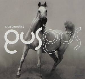 GUS GUS Arabian Horse