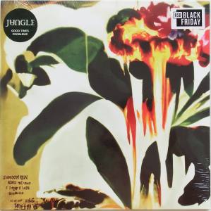 JUNGLE Good Times Problemz (Vinyl)