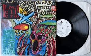 LEVELLERS See Nothing Hear Nothing Do Something (Vinyl)