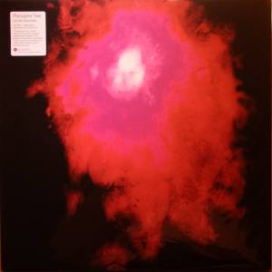 PORCUPINE TREE Up the Downstair (Vinyl)