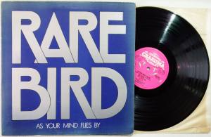 RARE BIRD As Your Mind Flies By (Vinyl)