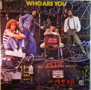 THE WHO Who Are You (Vinyl)