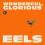 EELS Wonderful Glorious (Vinyl)