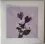DANIEL LANOIS Belladonna (Vinyl)