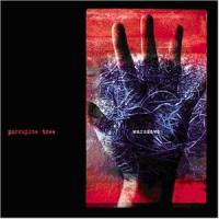 Porcupine Tree, Warszawa. Live M...