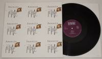 12 Vinyl