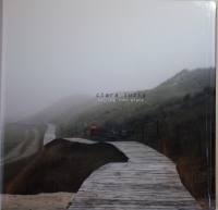 CLARA LUZIA Falling Into Place (...