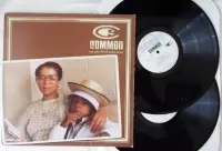 Vinyl 2LP
