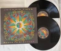 Vinyl 2LP