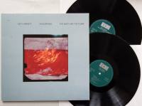 Vinyl 2LP
