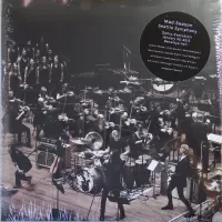MAD SEASON Sonic Evolution (Vinyl)