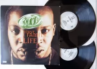 Vinyl 2LP
