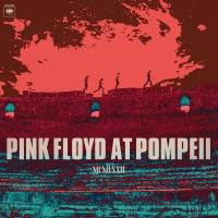 Vinyl 2LP