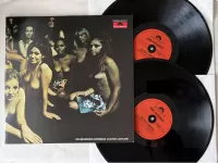 Vinyl 2LP